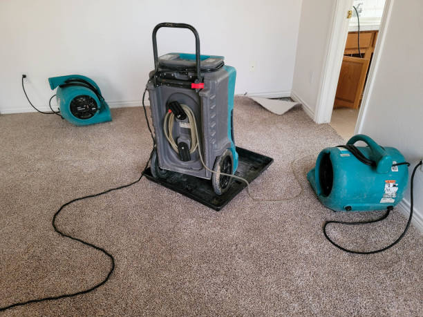 Best Local water damage restoration  in Haskell, OK