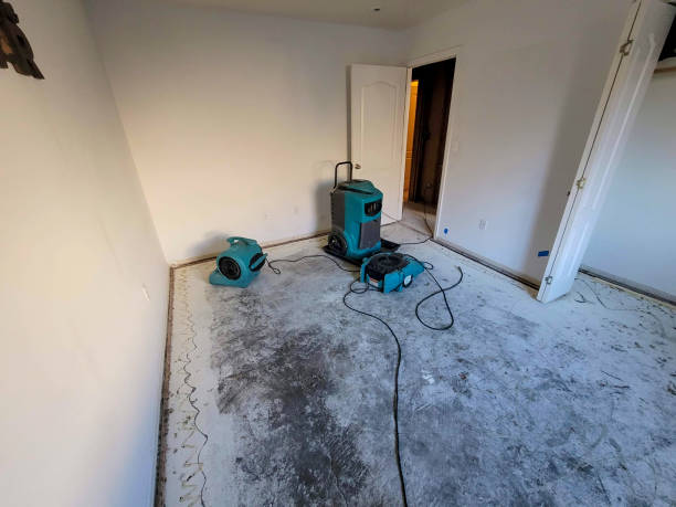Best Fire Damage Restoration  in Haskell, OK