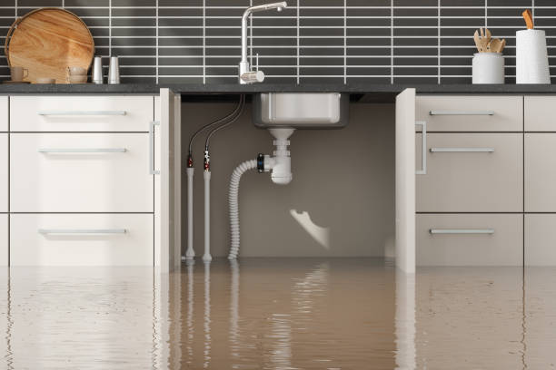 Best Professional water damage repair  in Haskell, OK