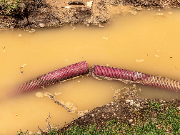 Best Sewage cleanup and water damage restoration  in Haskell, OK
