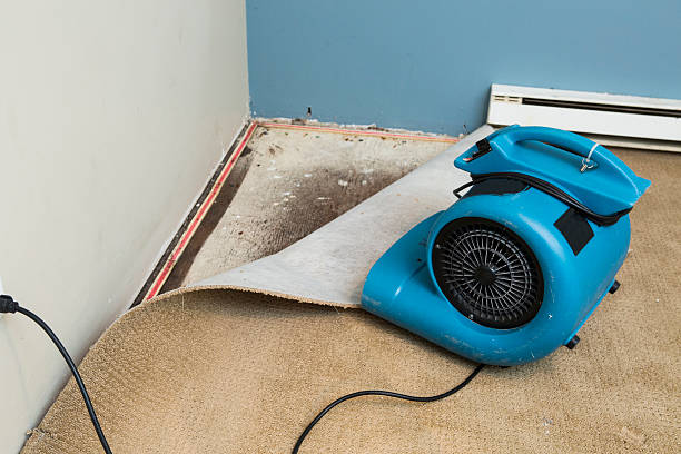 Carpet water damage restoration in Haskell, OK